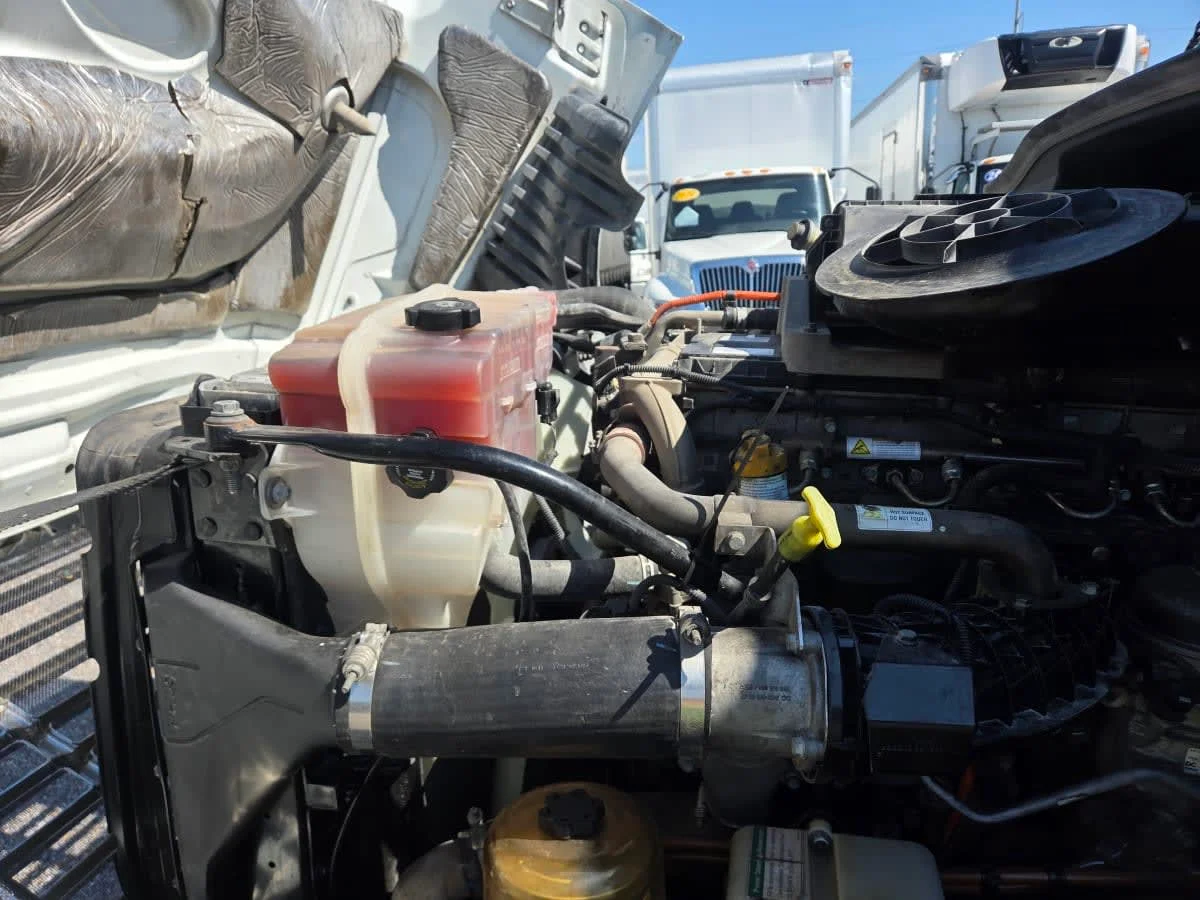 2018 Freightliner Cascadia in St. Rose, LA — photo 8