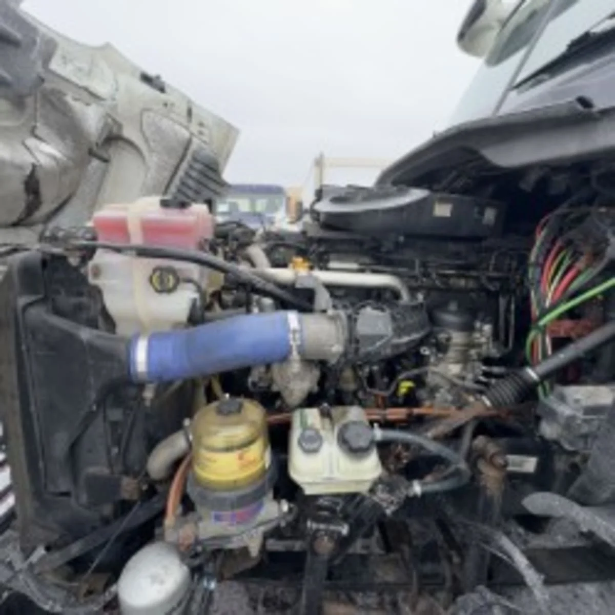2019 Freightliner Cascadia in Syracuse, NY — photo 10