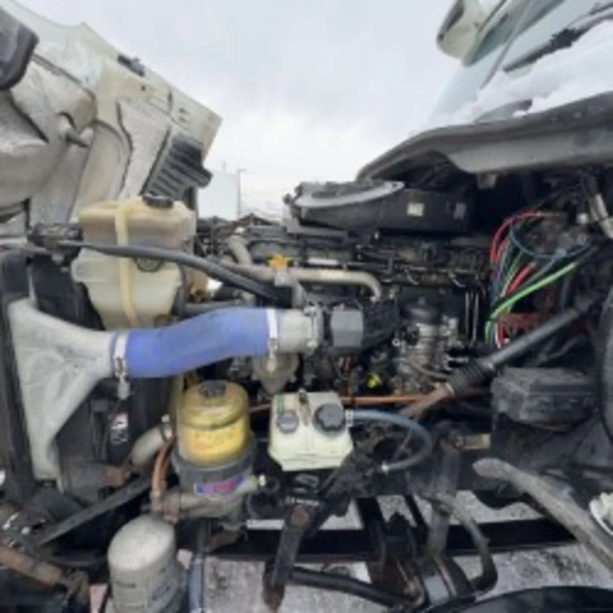 2019 Freightliner Cascadia - image 11