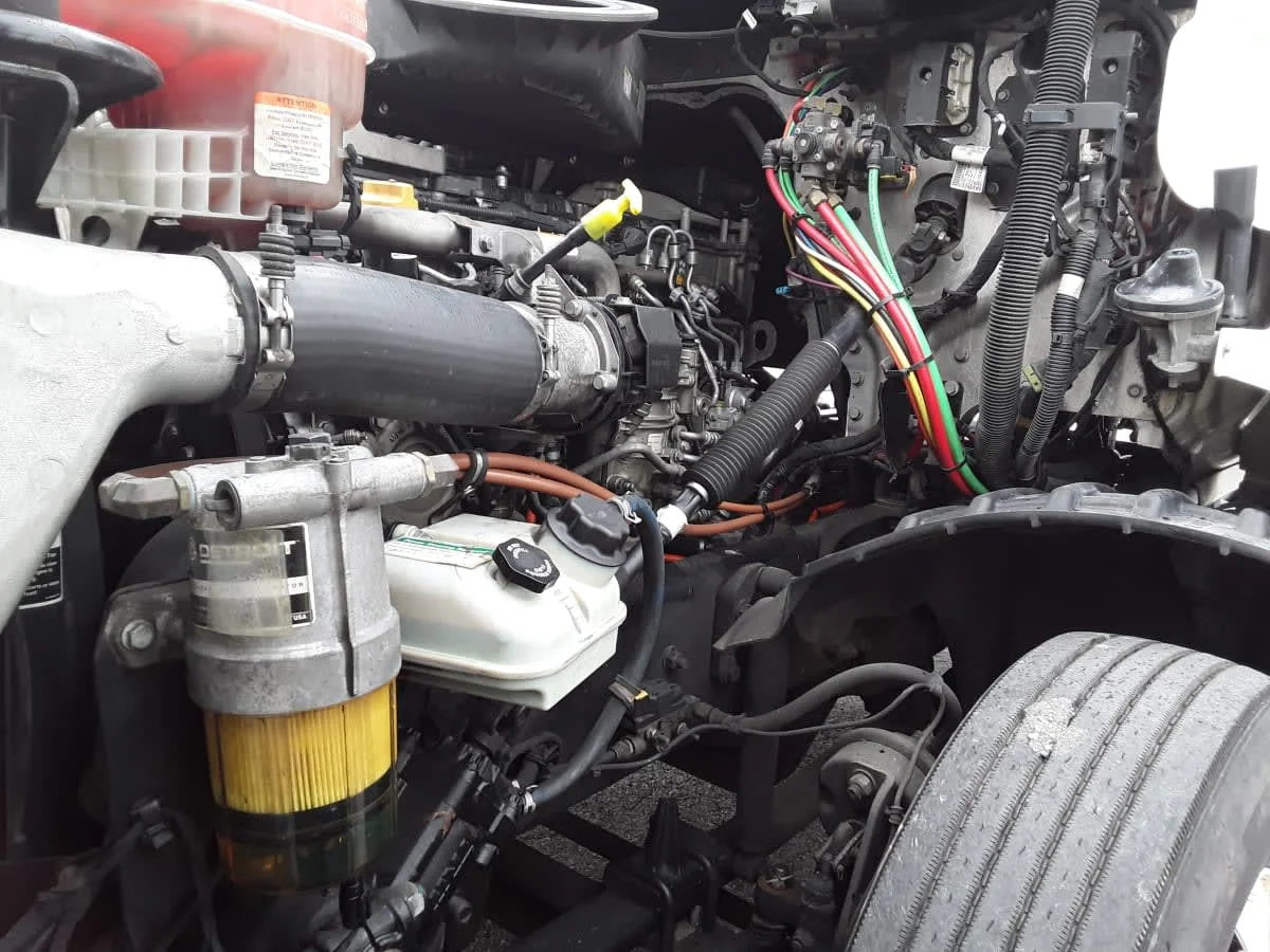 2019 Freightliner Cascadia in La Vergne, TN — photo 8