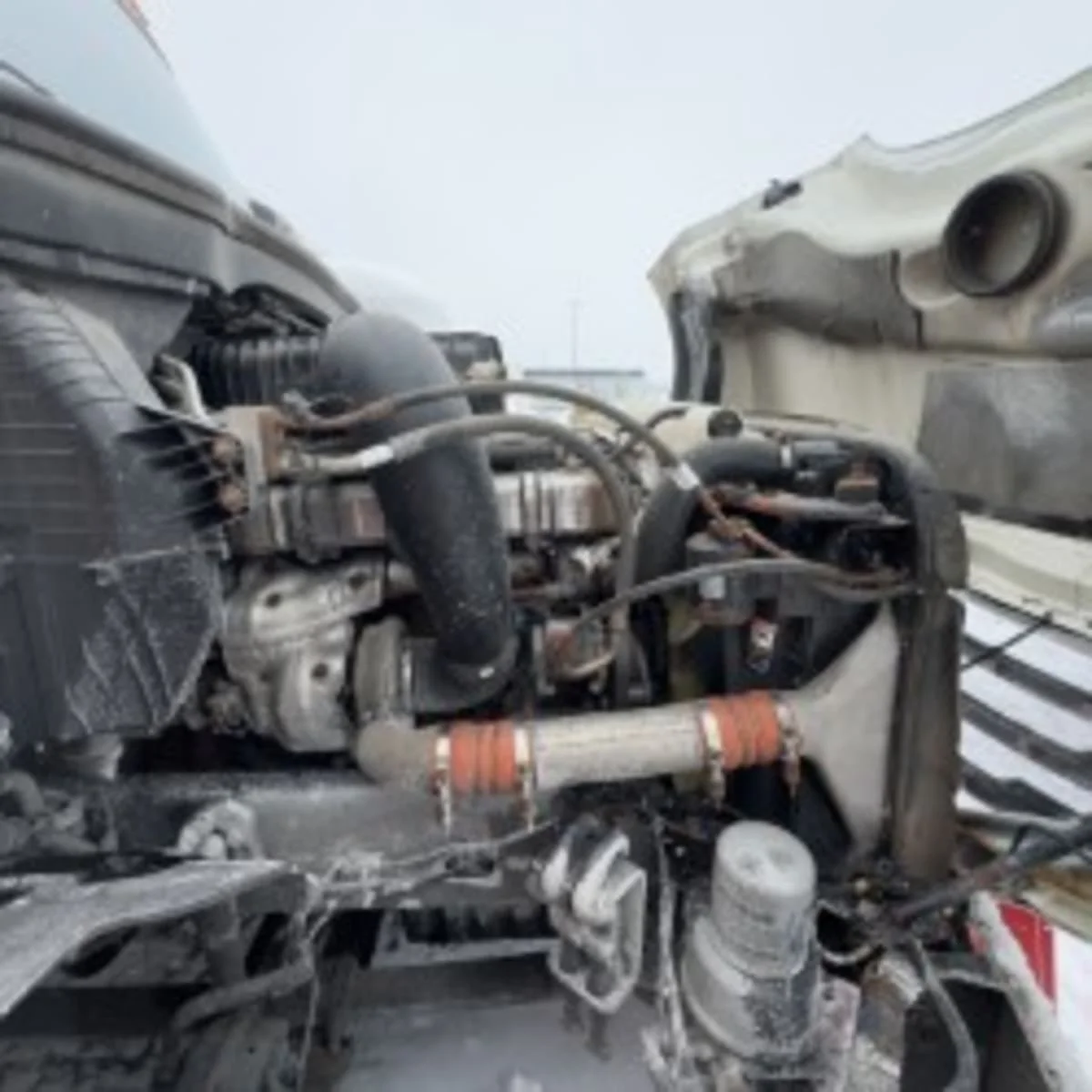 2019 Freightliner Cascadia in Syracuse, NY — photo 8