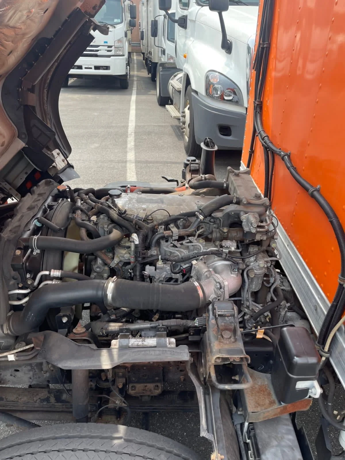 2019 Isuzu NQR - image 10