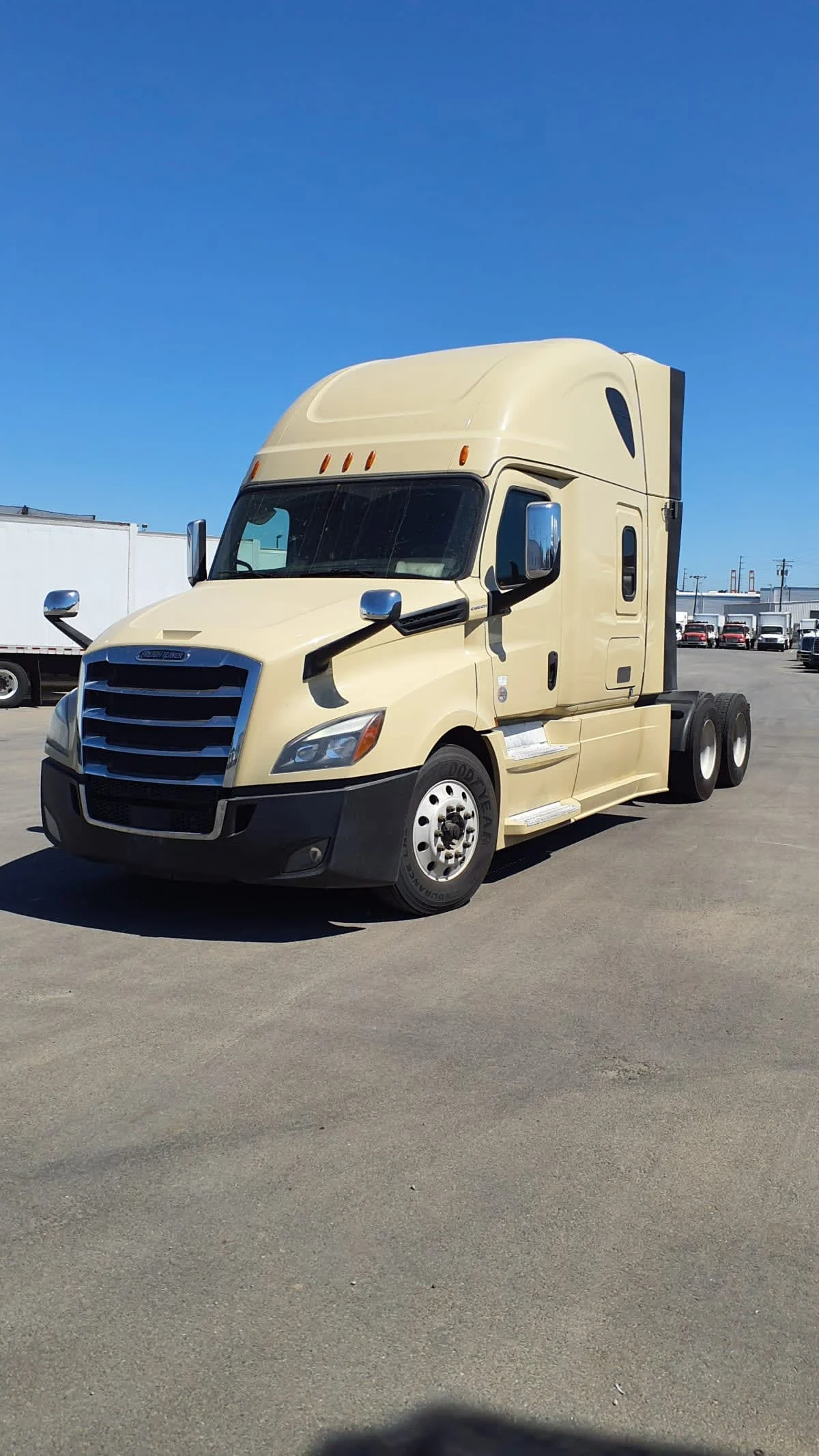 2019 Freightliner Cascadia