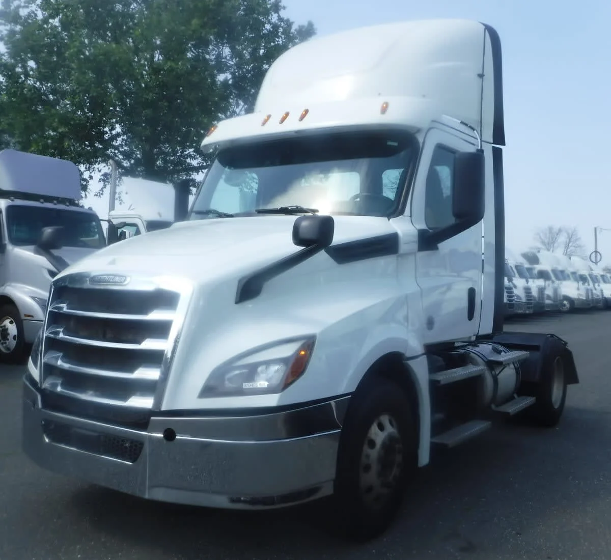 2019 Freightliner Cascadia in Springfield, MA
