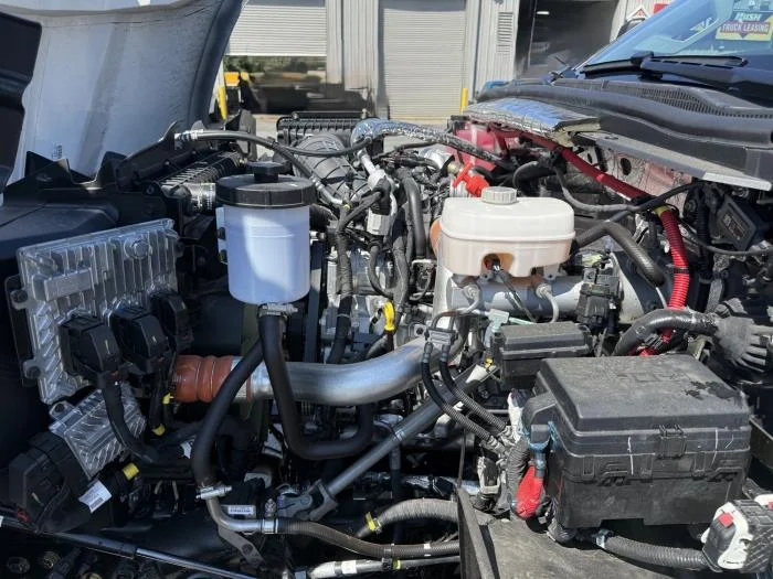 2025 International - image 4