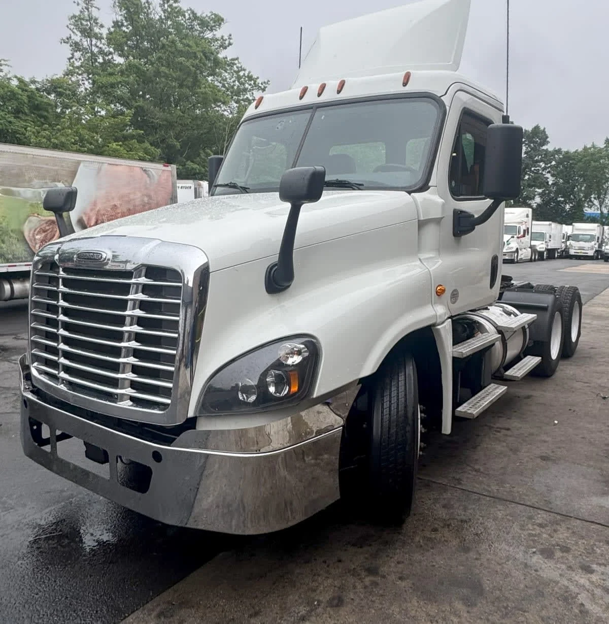 2019 Freightliner Cascadia in Kearny, NJ
