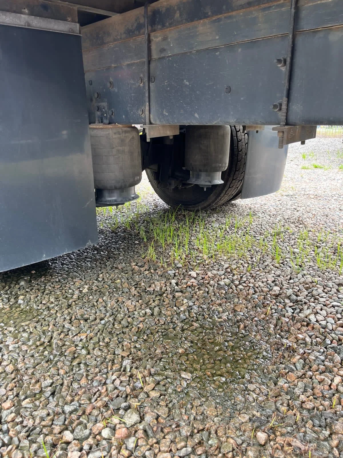 2020 International MV in Ashland, VA — photo 11