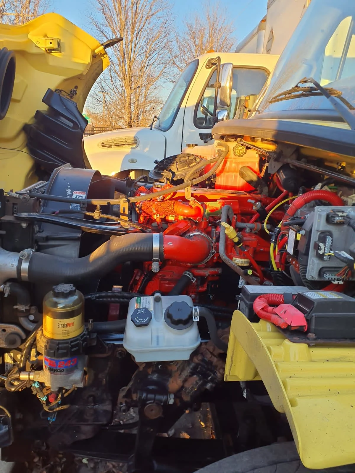 2016 Freightliner M2 106 in Bolingbrook, IL — photo 9