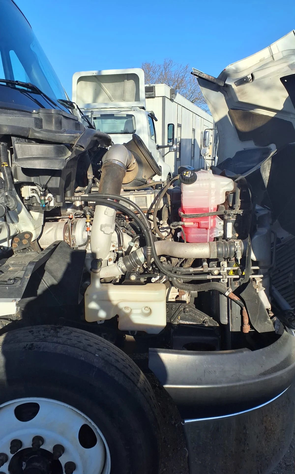 2018 International ProStar - image 8