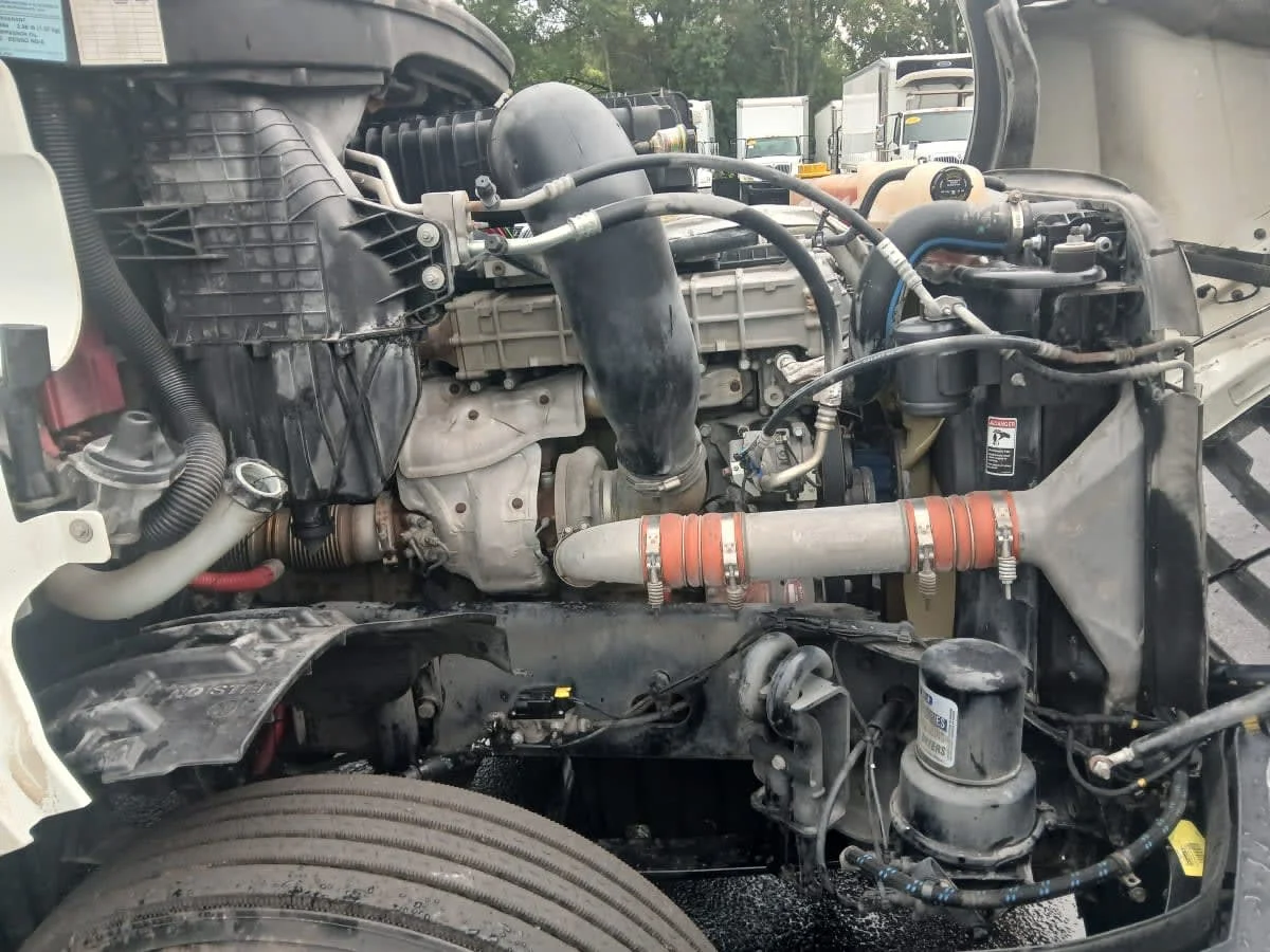 2019 Freightliner Cascadia in Jacksonville, FL — photo 11