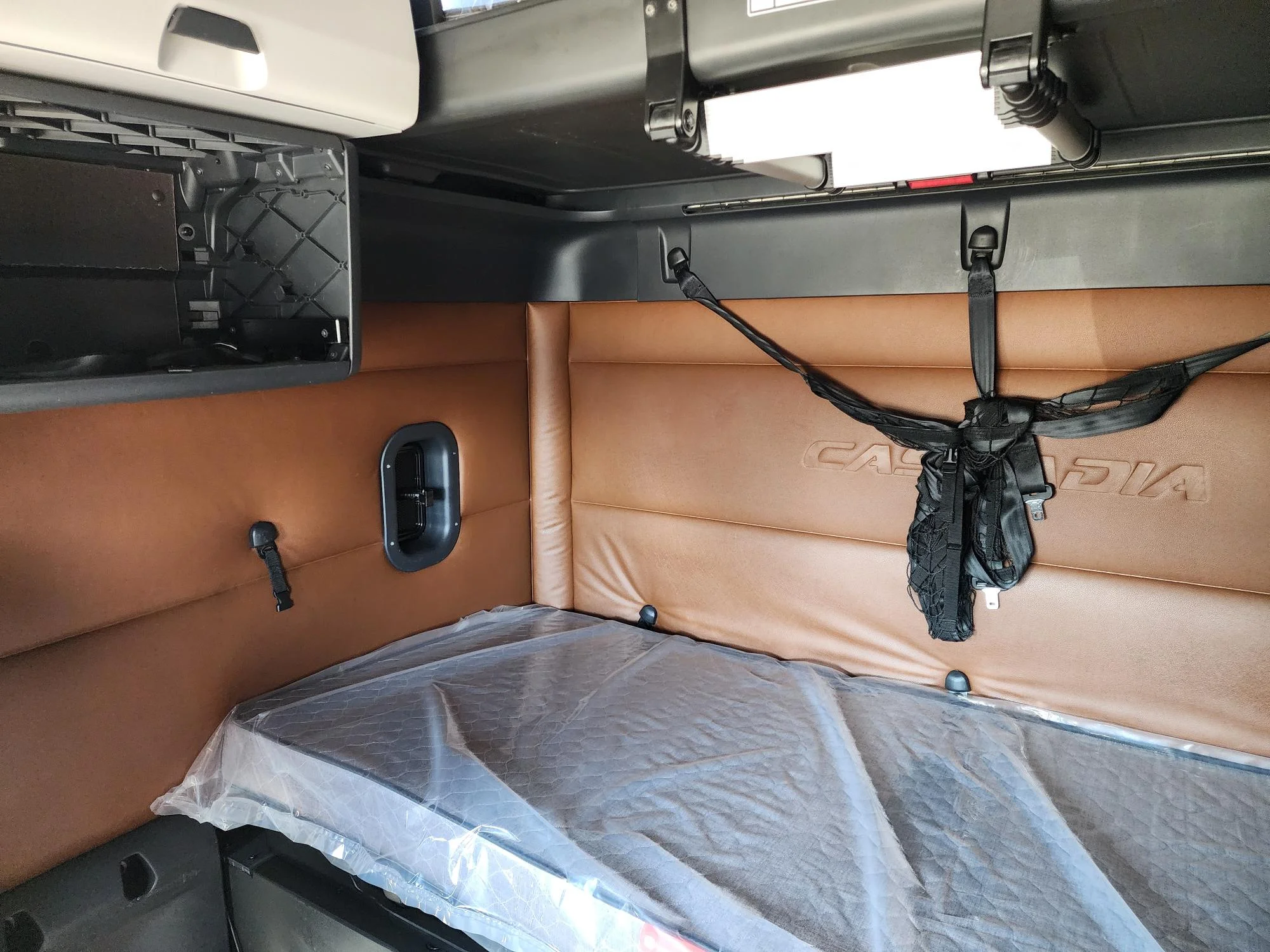 2020 Freightliner Cascadia in Fresno, CA — photo 9