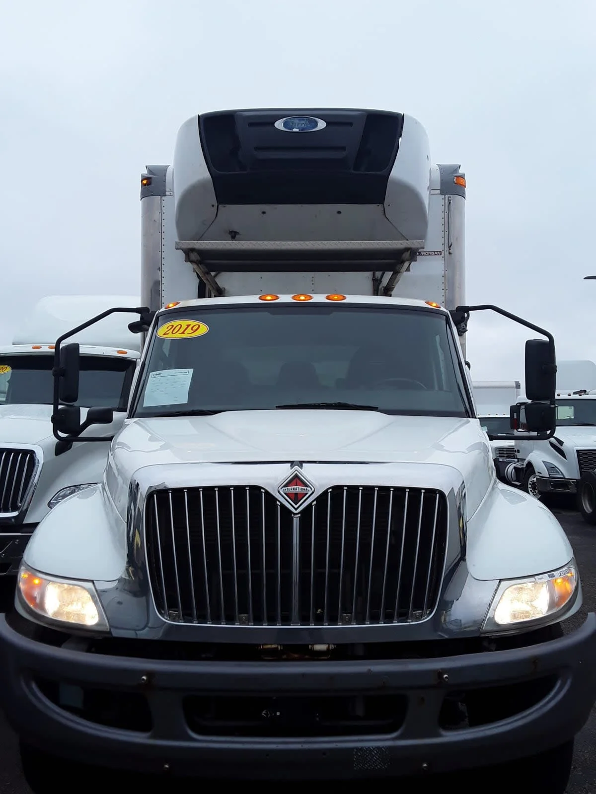 2019 International MV - image 2