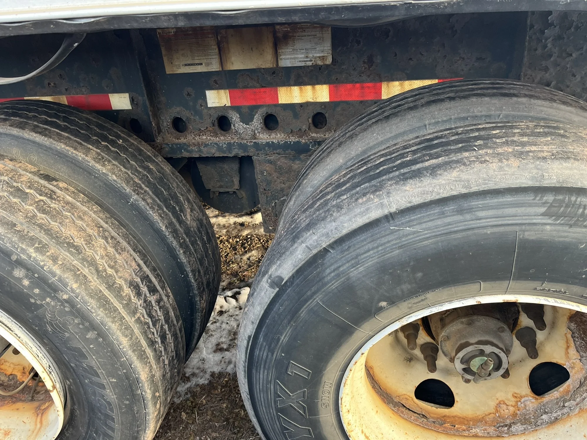 2015 Great Dane - image 6