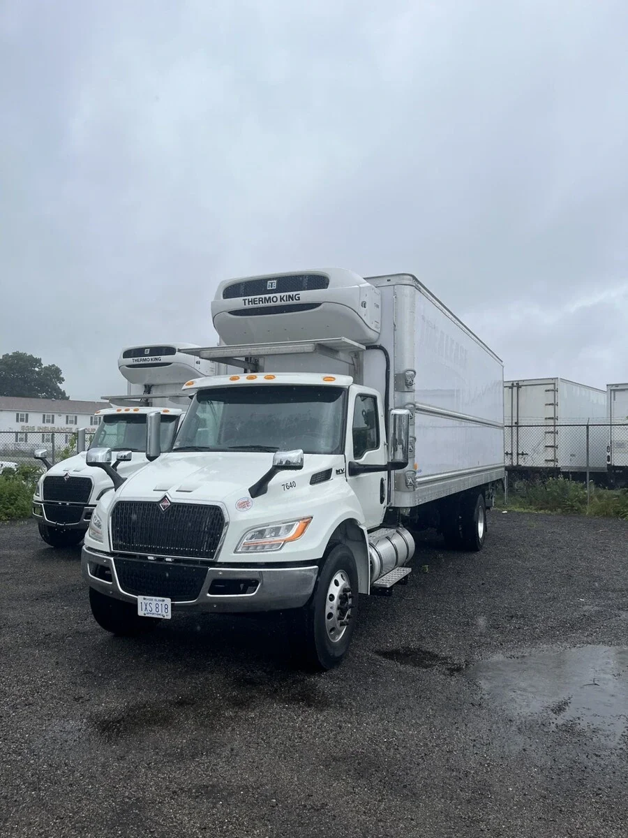 2025 International MV in Syracuse, NY