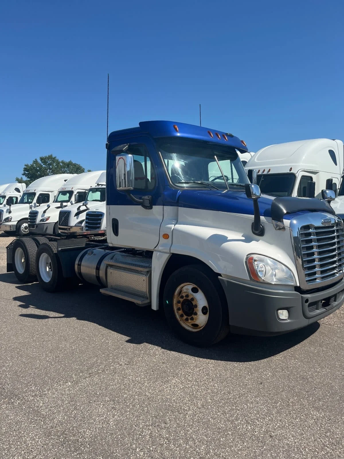 2019 Freightliner Cascadia in Minneapolis, MN — photo 3