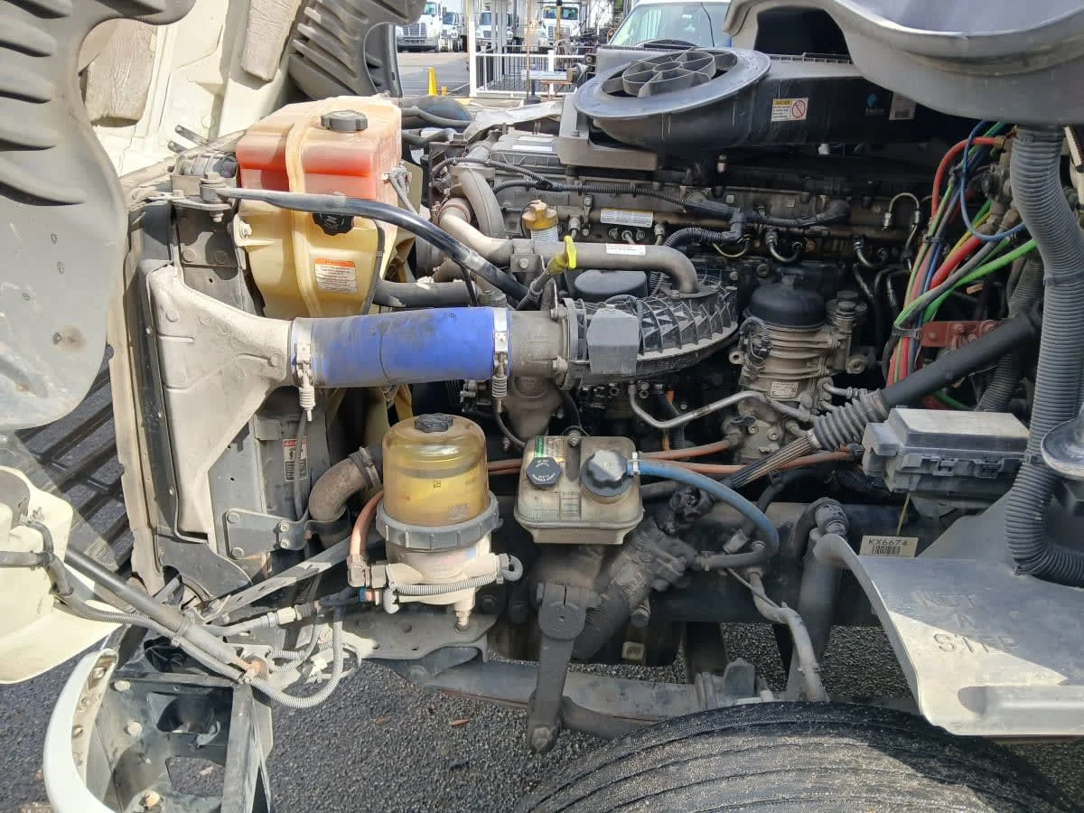 2019 Freightliner Cascadia in Jacksonville, FL — photo 8