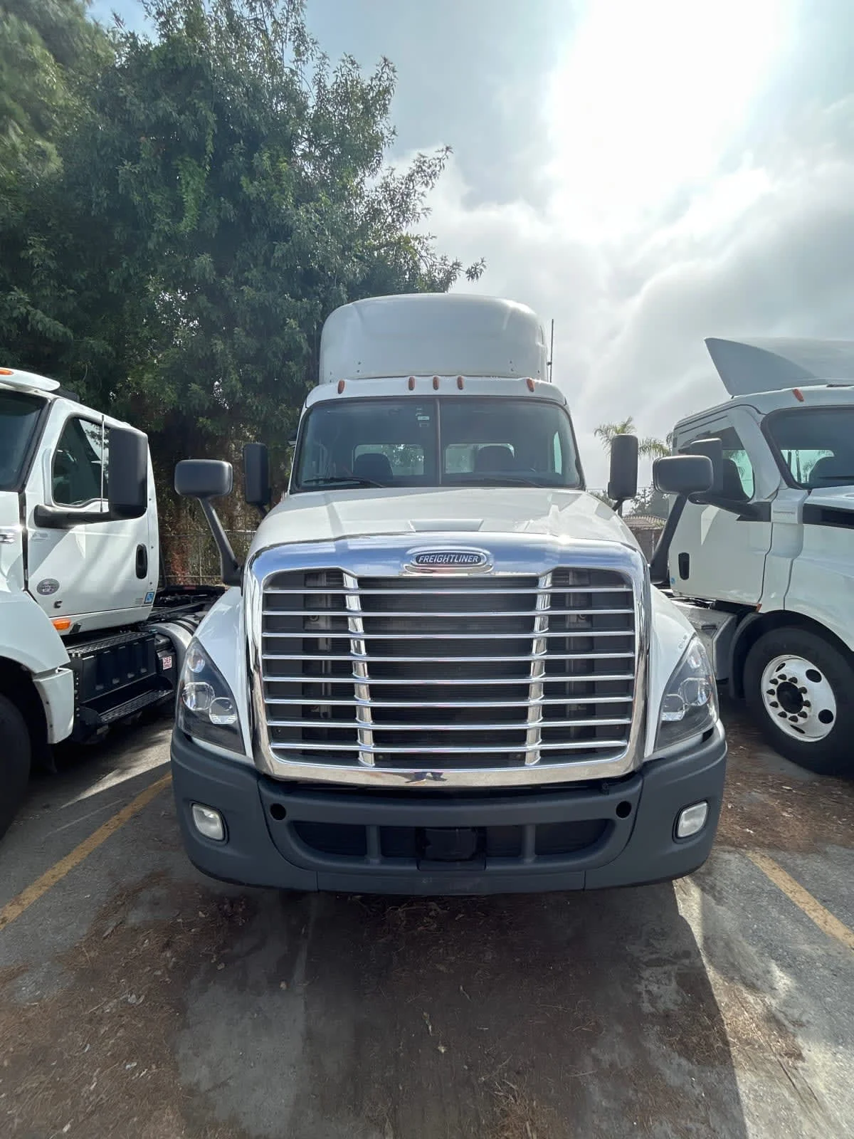 2019 Freightliner Cascadia in Pomona, CA — photo 8
