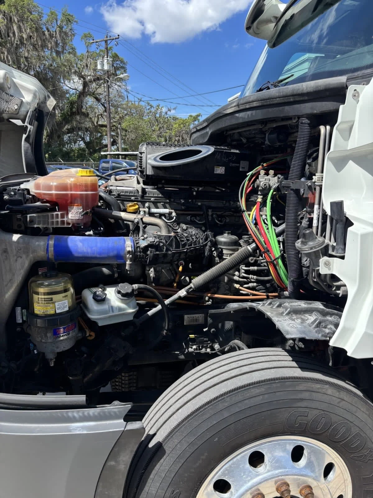 2022 Freightliner Cascadia in Jacksonville, FL — photo 11