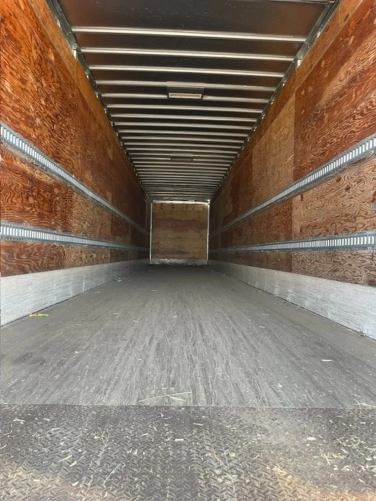 2009 Great Dane - image 7