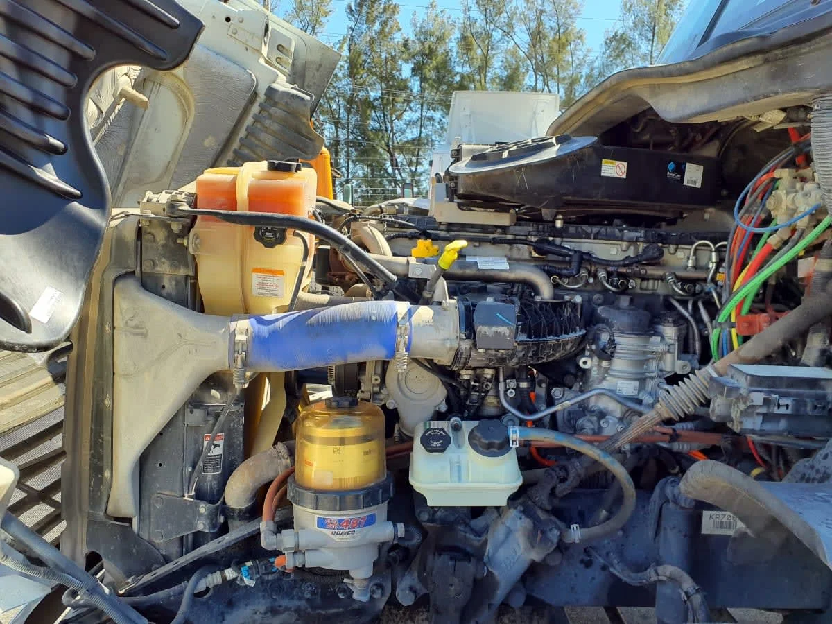 2019 Freightliner Cascadia in Miami, FL — photo 8