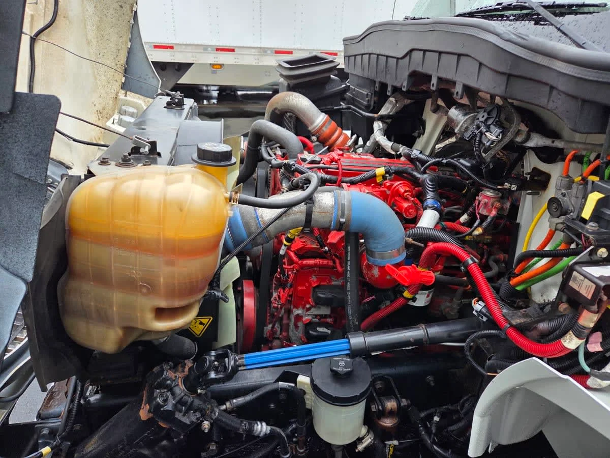 2019 International 4300 in Allentown, PA — photo 10
