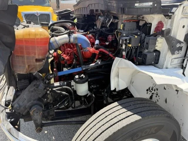 2019 International MV — photo 17