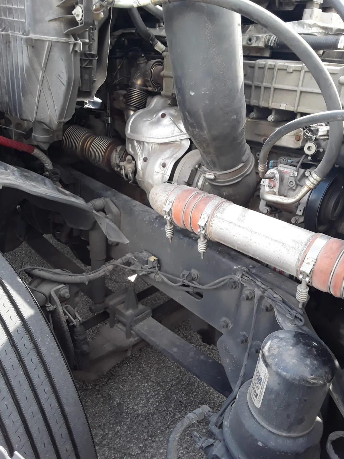 2020 Freightliner Cascadia in La Vergne, TN — photo 10