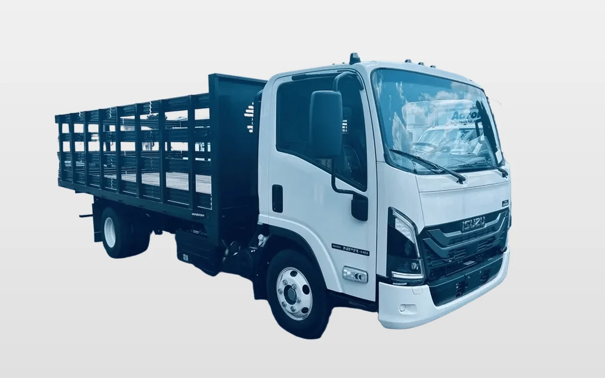 2025 Isuzu - image 1