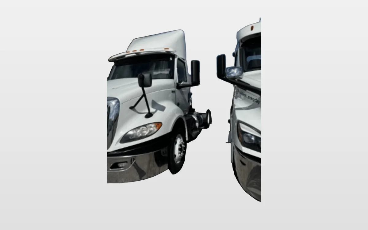 2019 International - image 1