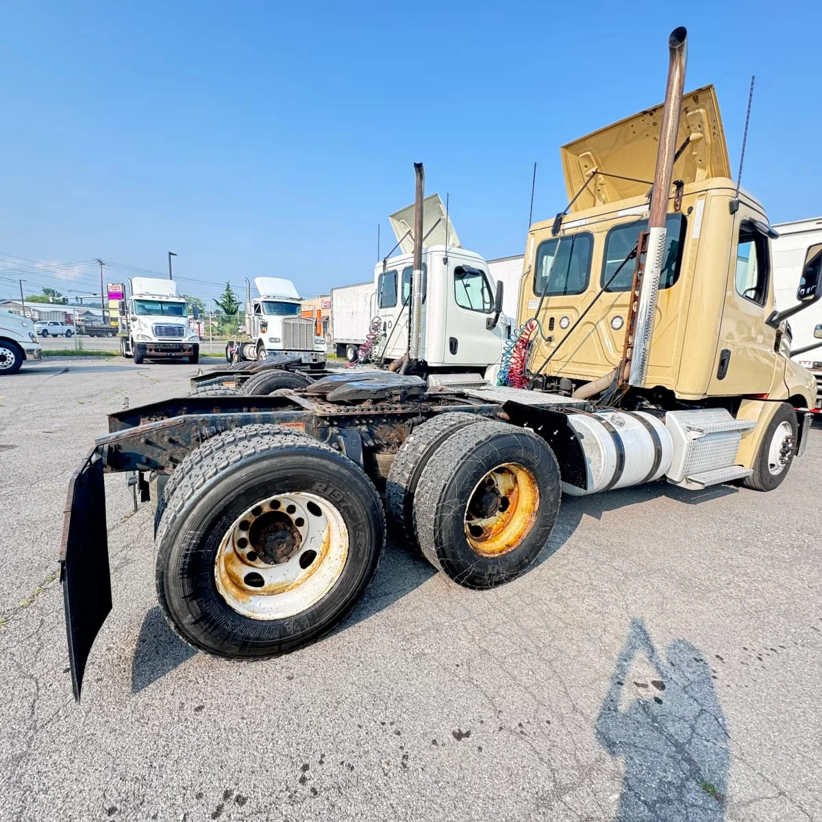 2020 Freightliner Cascadia in Syracuse, NY — photo 4